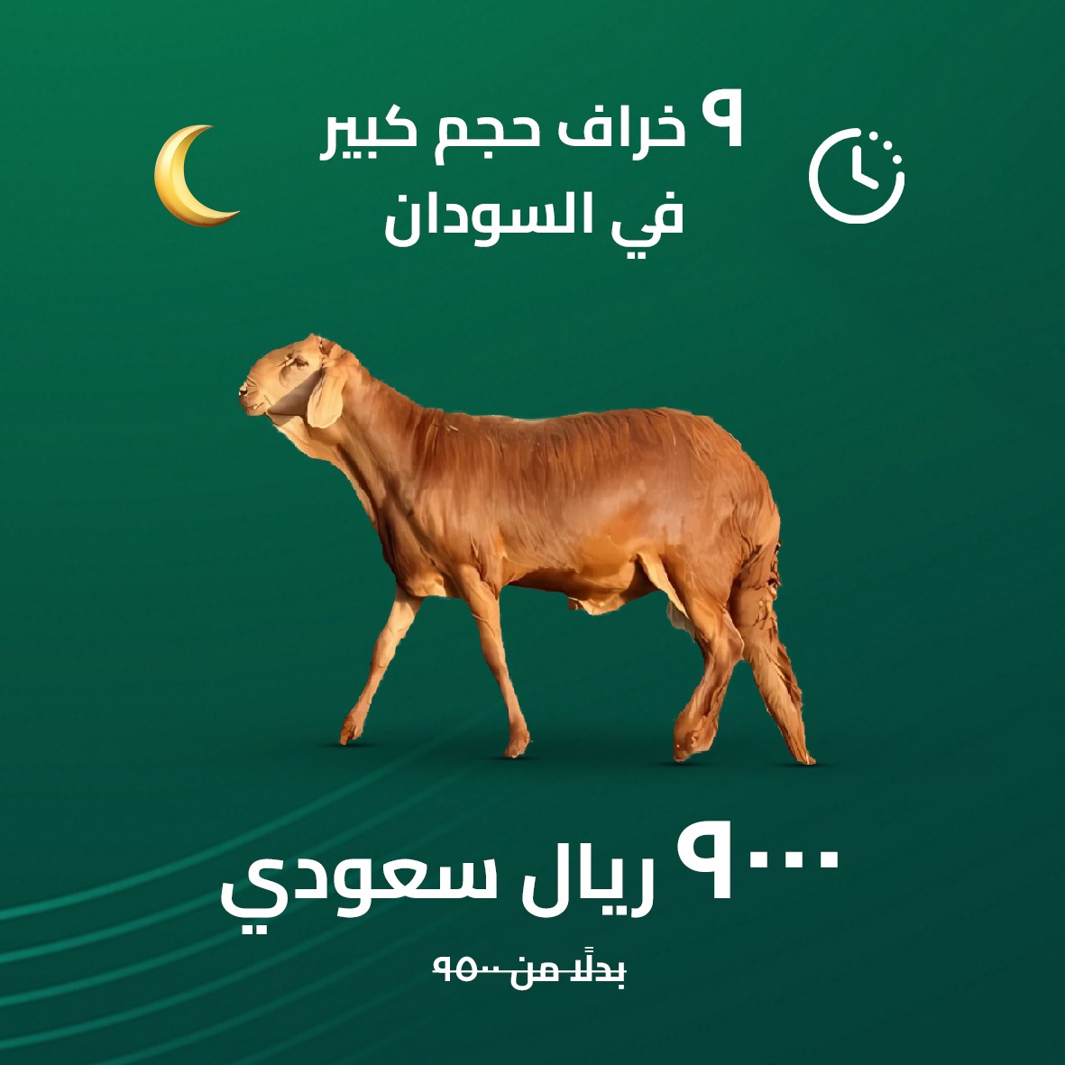 عرض 1